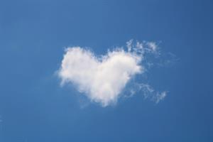 Photo 730647
