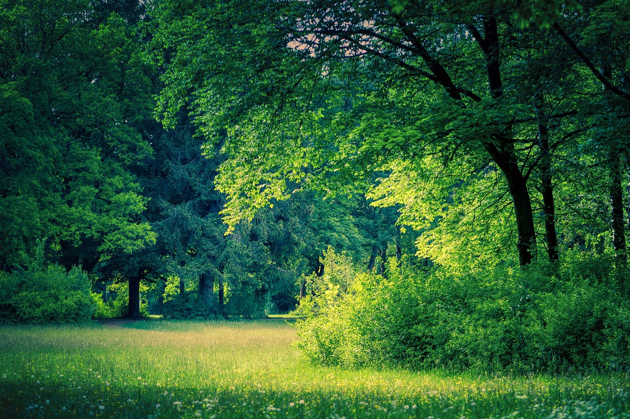 Photo 977098